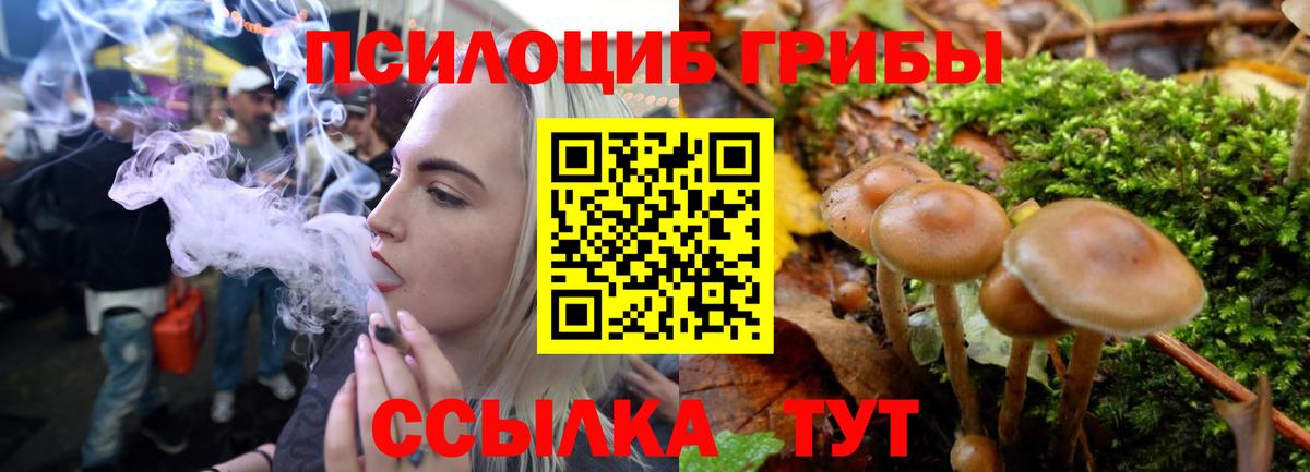 Псилоцибиновые грибы Psilocybe  Вход с VPN  Ревда 